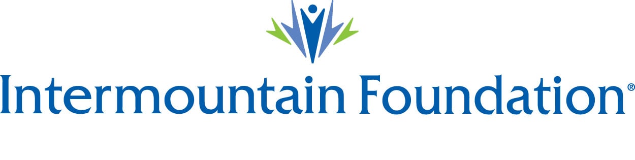 Vertical Foundation logo